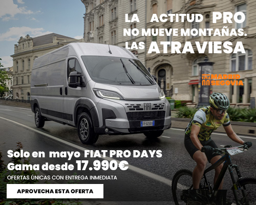 FIAT PROFESSIONAL